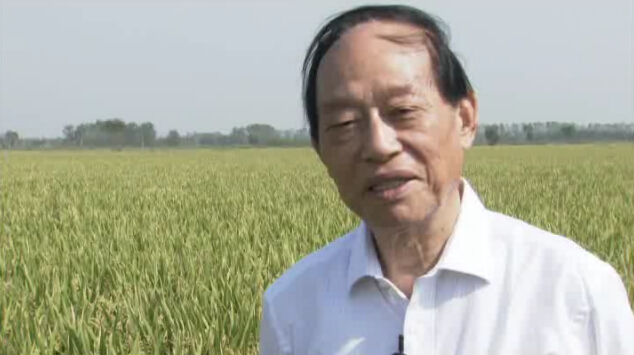 中国水稻专家凌启鸿采访